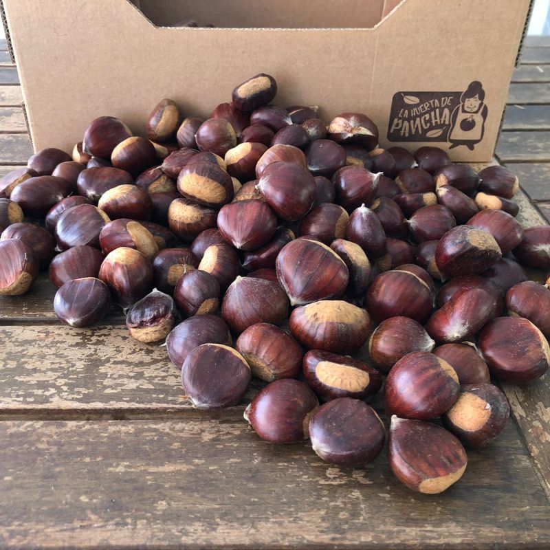 Castañas Directas Desde El Campo 1/2 Kg_0