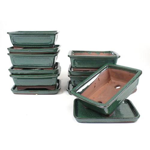 Vaso bonsai retangular 20 cm com pires verde