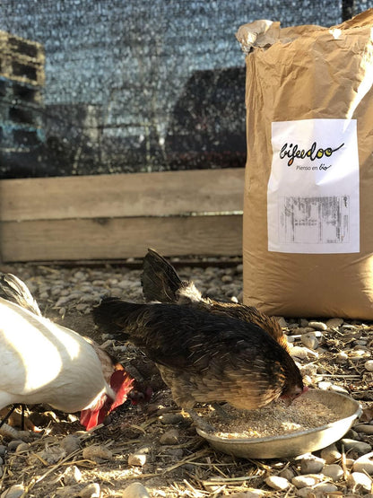 Pienso Gallinas Ponedoras ECOLÓGICO 20 kg – Alimentación Natural y Equilibrada para Producción de Huevos_4