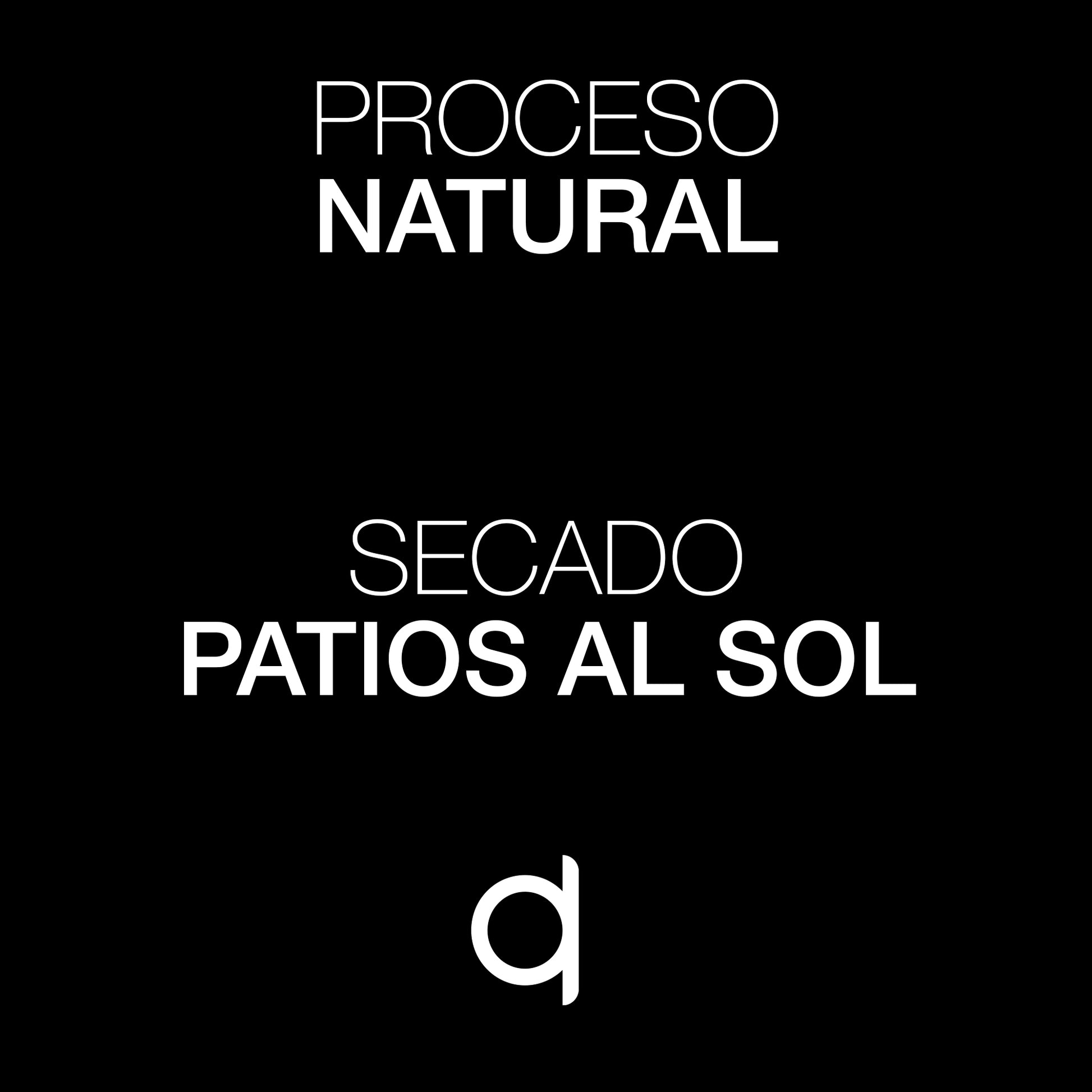 Cafe Sin Intermediarios Café Vietnam Hoa Mai Molido Filtro 500 G_5