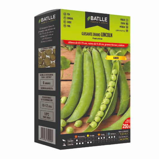 Sementes de ervilha LINCOLN Ganxo 250 g