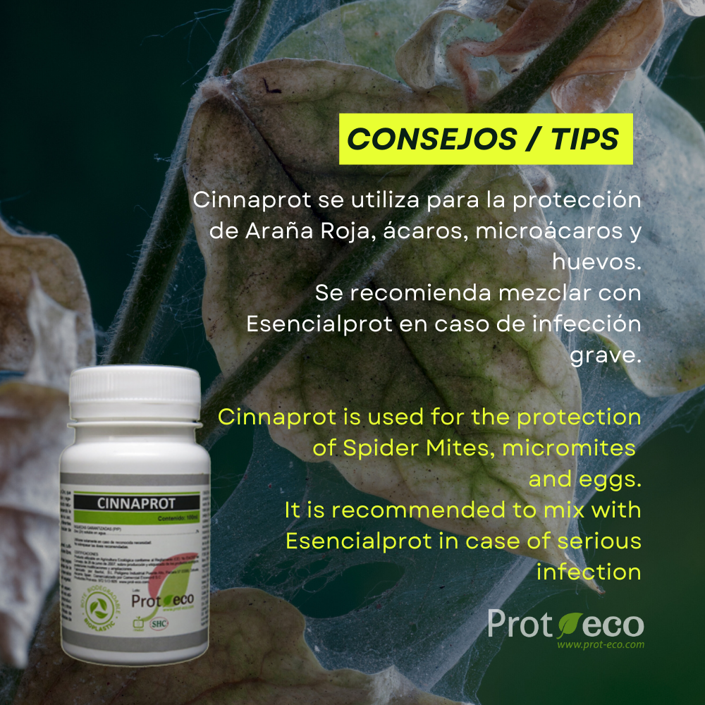 Tratamiento ecológico contra araña roja en plantas Cinnaprot Plus Prot-Eco (100 ml)+pipeta dosificadora 5ml gratis_3