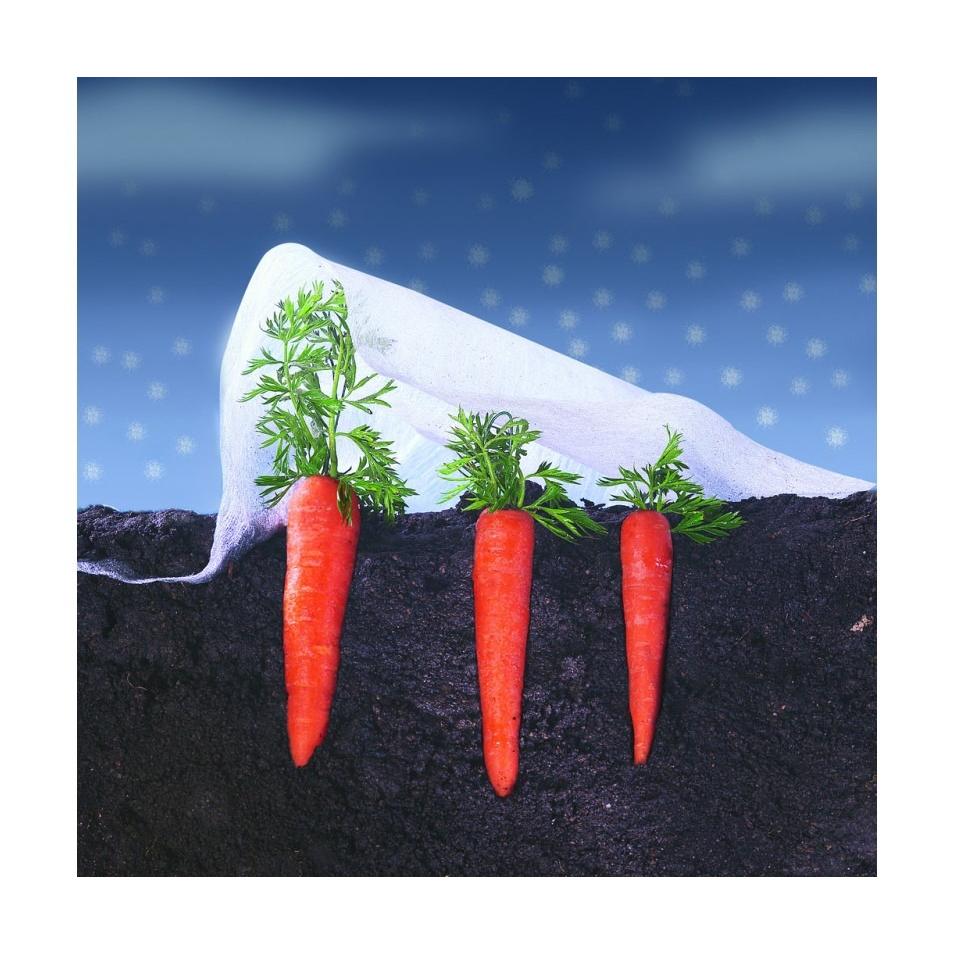 Véu de crescimento Climatex Nortene 2 x 5 m