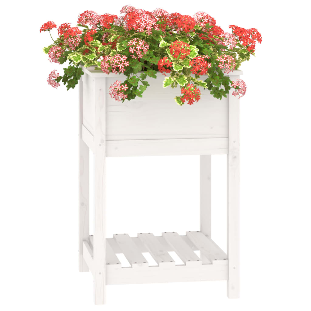 Jardinera Con Estante Madera Maciza De Pino Blanco 54x54x81 Cm_3