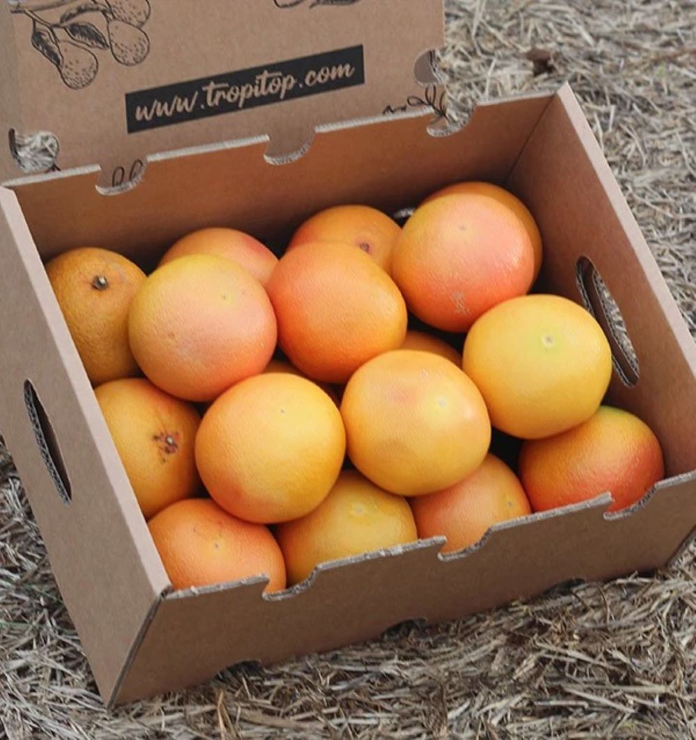 Pomelos Rojos Star Ruby Valencianos Tropitop 4kg_3