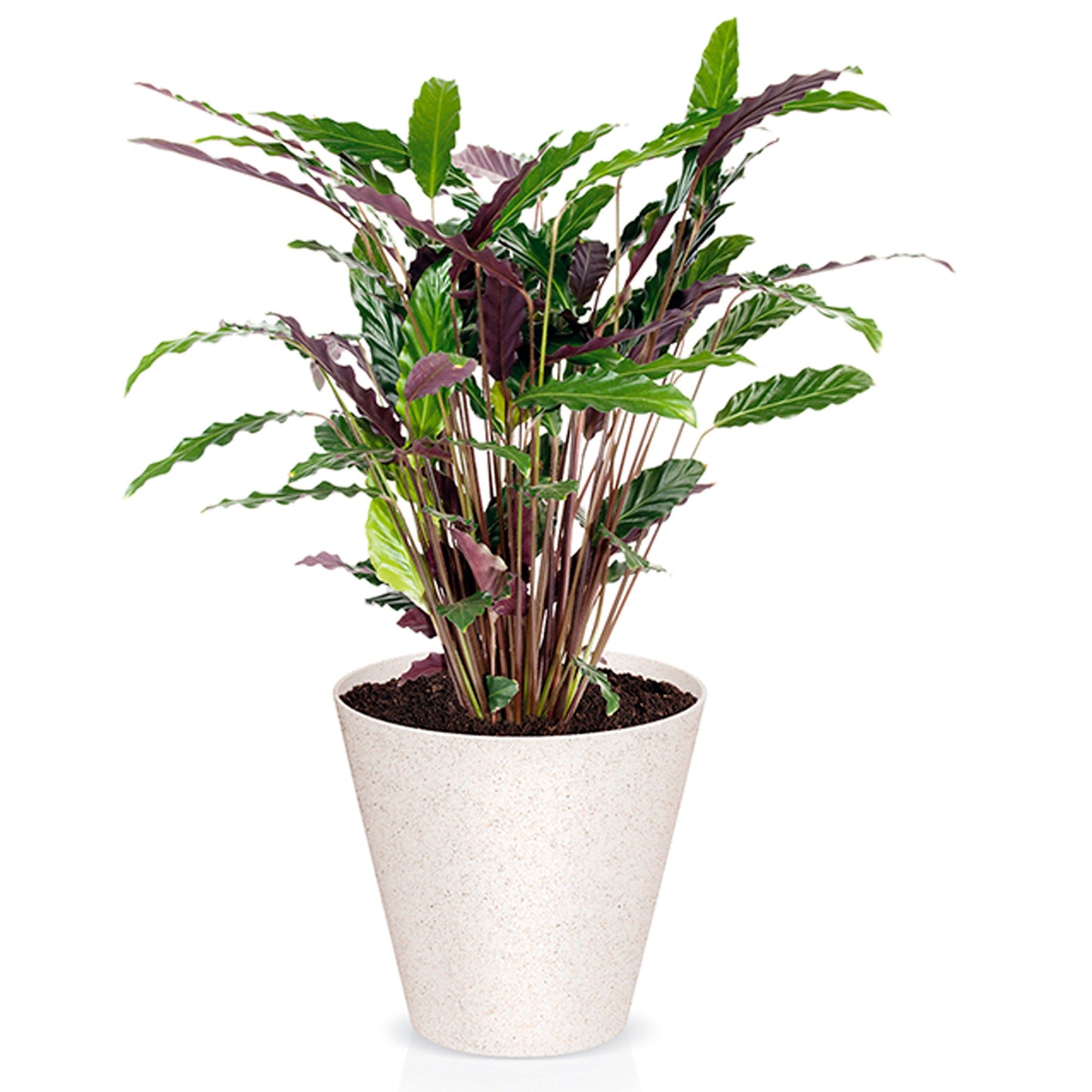 Macetero Redondo,sin Depósito ,   De 30x30x28cm, Capacidad De 12 L.