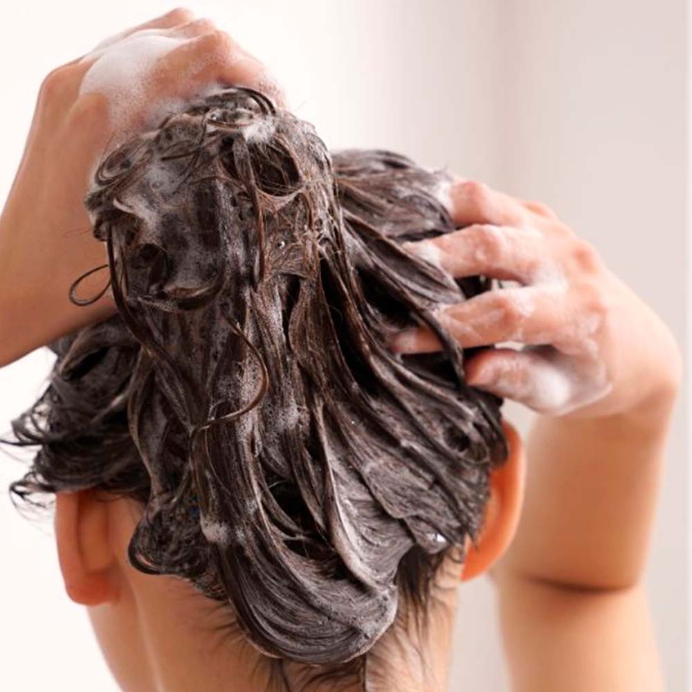 Pack 2 Champú Sólido para Todo Tipo de Cabello - 100 % Natural - Para Toda la Familia. Con Té Matcha y Aceite de Coco_2