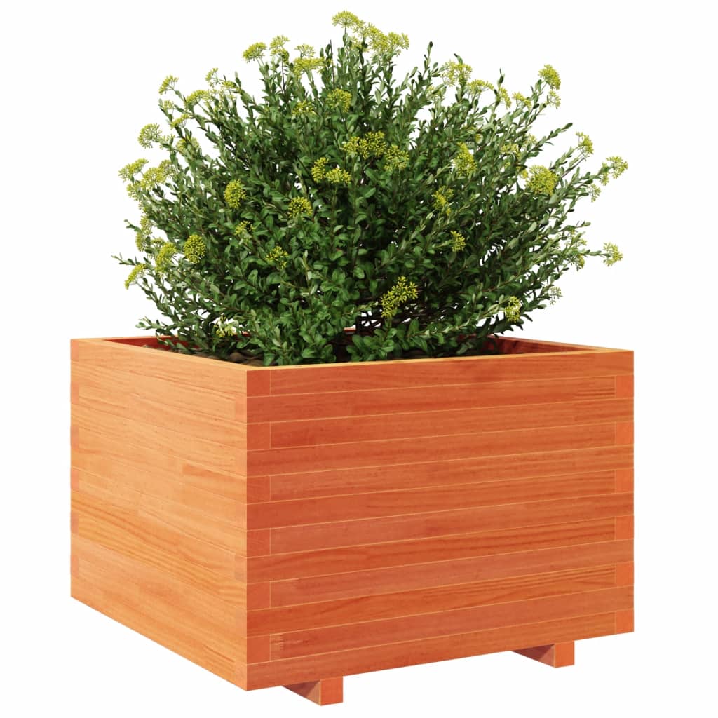 Jardinera Madera Maciza De Pino Marrón Cera 70x70x49,5 Cm_3