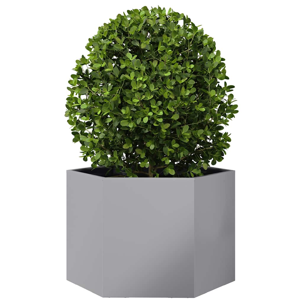 Jardinera Hexagonal Acero Galvanizado 69x60x45 Cm_2