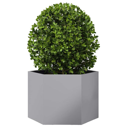 Jardinera Hexagonal Acero Galvanizado 69x60x45 Cm_2