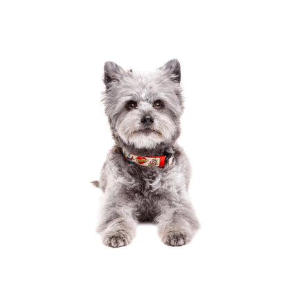 Coleira para cão Tattoo Dukier