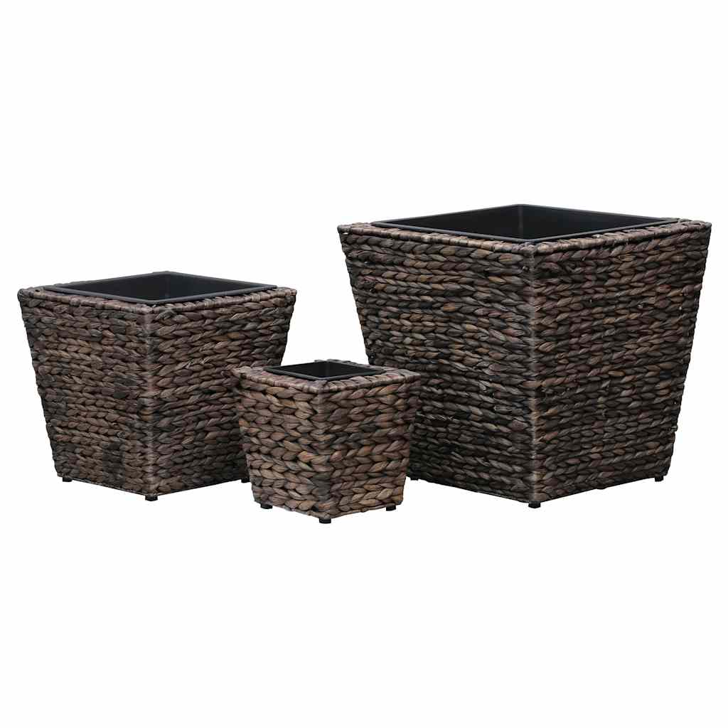 Conjunto De Arriates 3 Piezas Jacinto De Agua Marrón_1