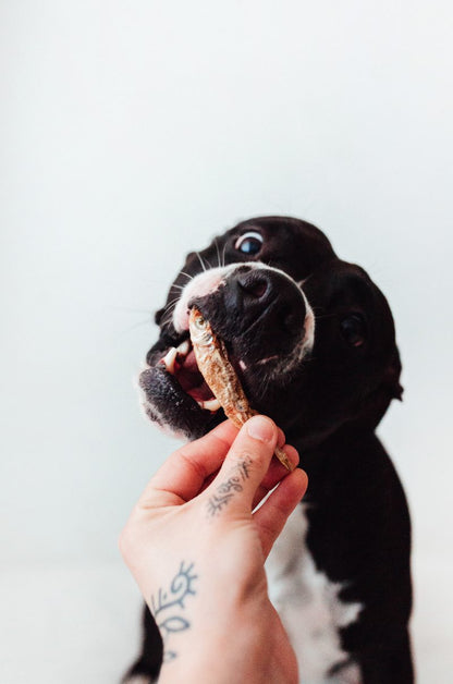 Bimordiscos Pescados Deshidratados Para Perros Y Gatos · 250g.