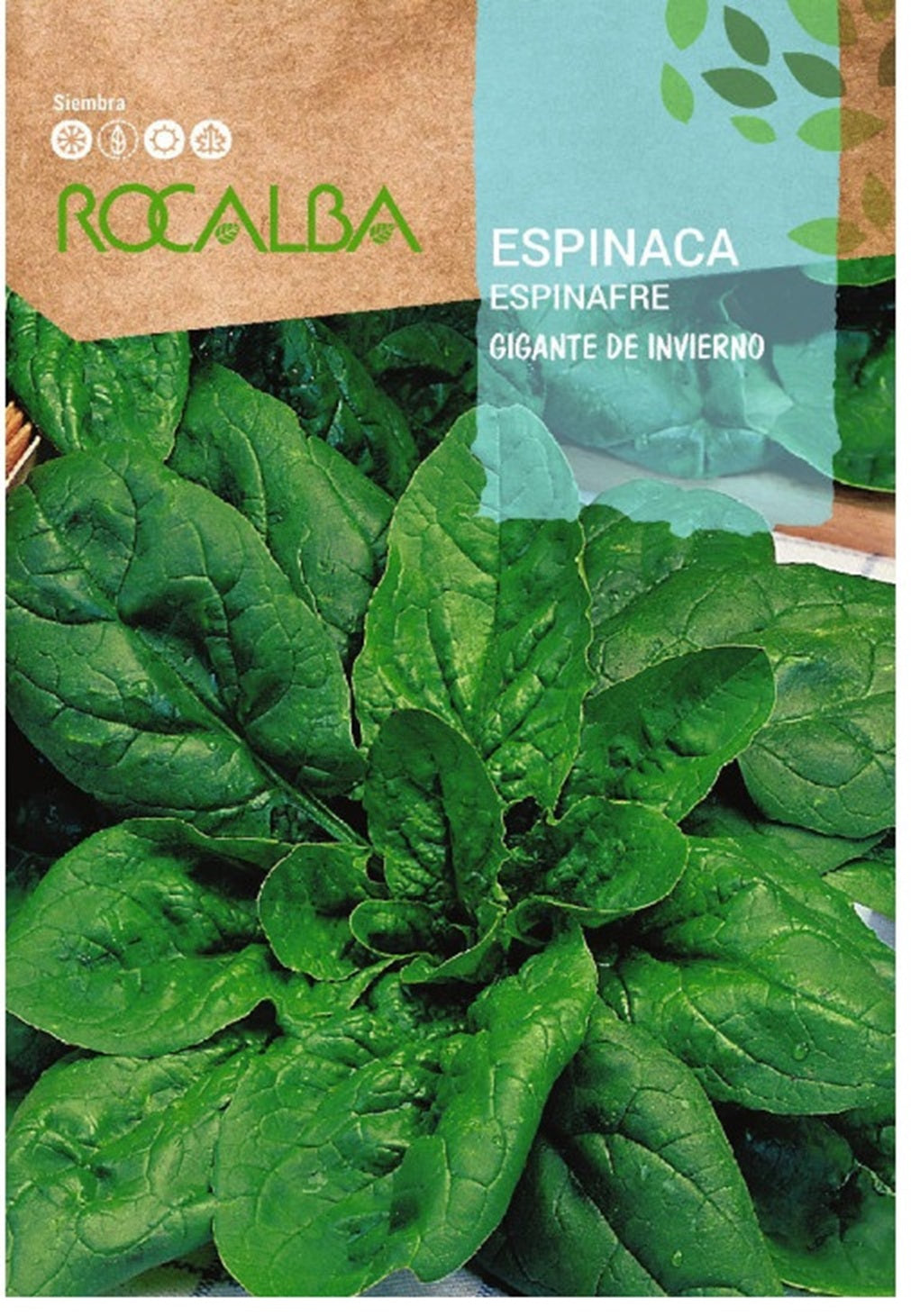 Semillas Espinaca Gigante De Invierno 1k_0