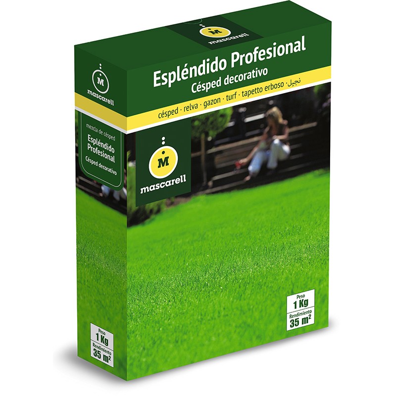 Césped Mezcla Espléndido Profesional_0