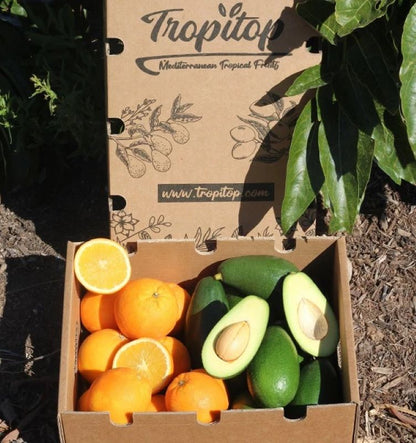 Caja 4kg Mix Aguacate Bacon Y Naranjas Valencianas_4