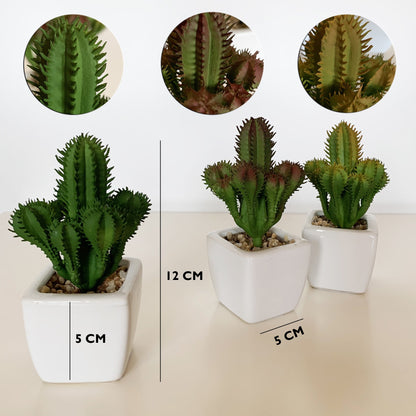 Pack 12 Cactus Cardon Surtidos Artificiales Con Maceta De Ceramica_1