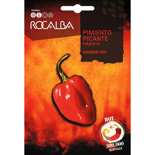 Sementes de pimento habanero vermelho Rocalba