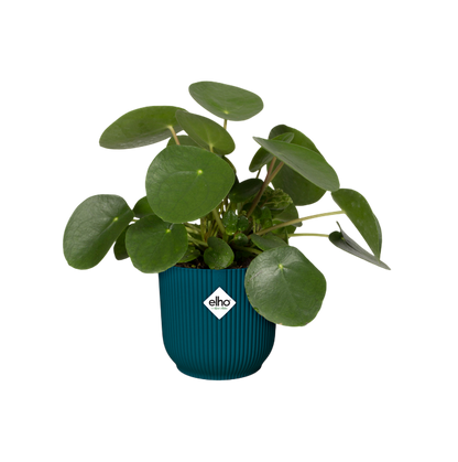 Vaso de flores redondo dobrável Vibes azul escuro Elho 18 cm