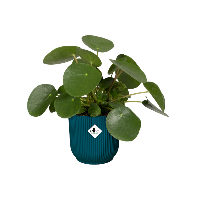 Vaso redondo dobrável Vibes azul profundo Elho 30 cm