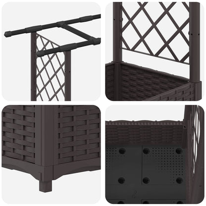 Cama Elevada Con Trellis Y Techo Marrón 122,5 X 40 X 121 Cm Pp_5