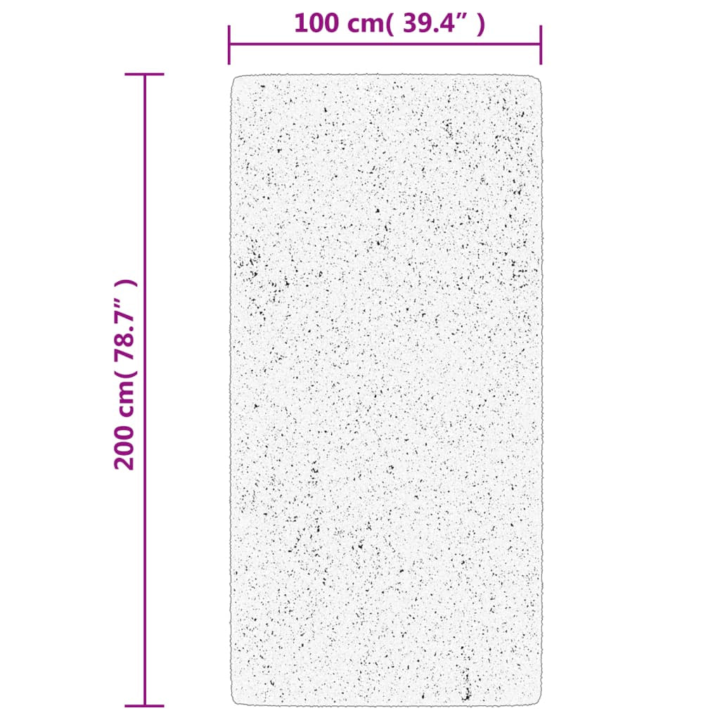 Vidaxl Alfombra De Pelo Corto Oviedo Negro 100x200 Cm_2