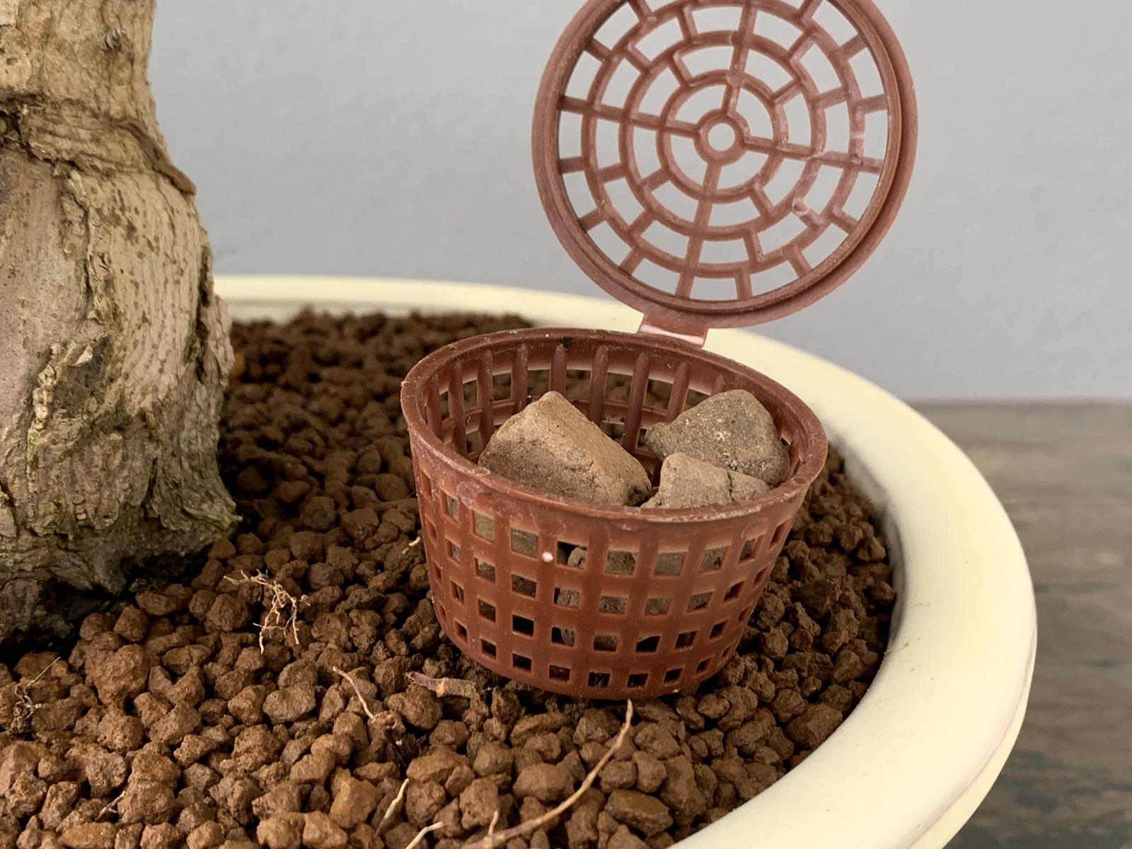 Abono Japonés Especial Para Bonsái Biogold - 900g_5