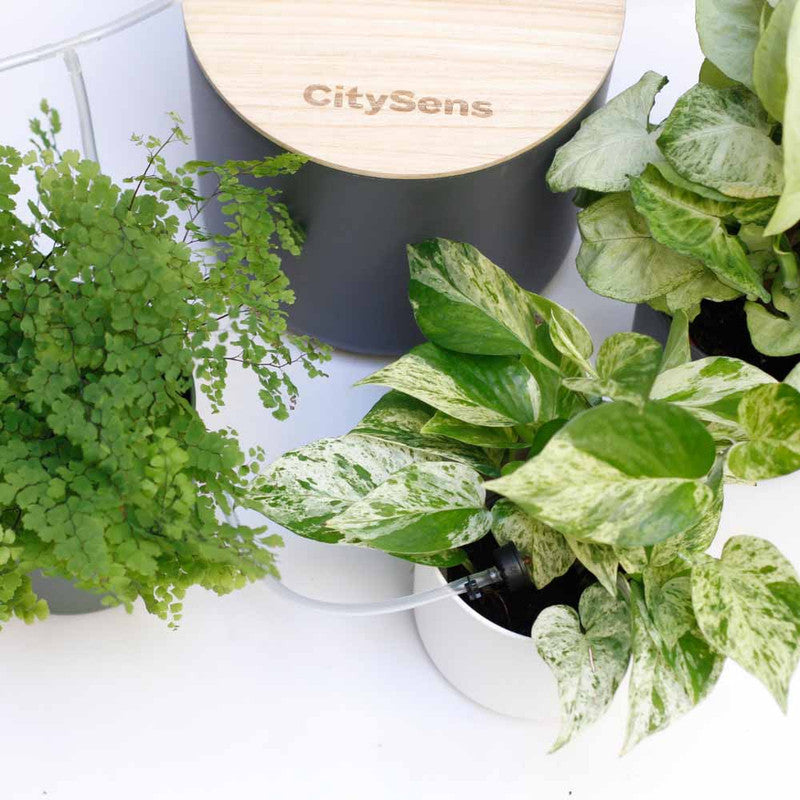 Riego De Macetas Por Goteo Con Depósito Antracita Citysens; 12 Goteros; Riego Inteligente_1