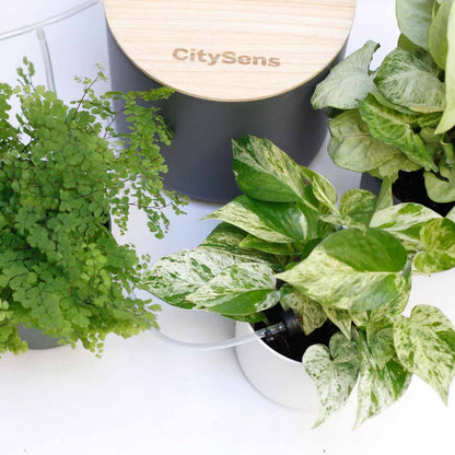 Riego De Macetas Por Goteo Con Depósito Antracita Citysens; 12 Goteros; Riego Inteligente_1