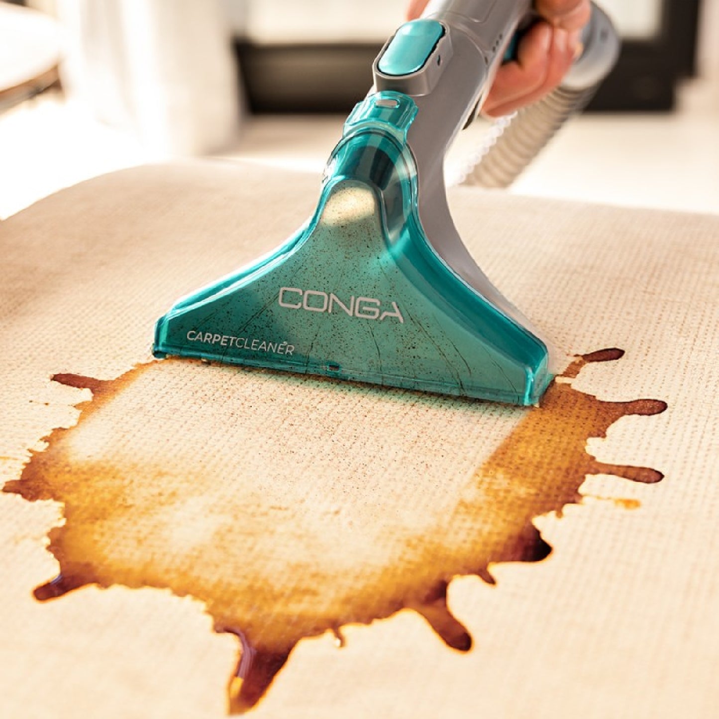 Cecotec Aspirador Trineo Wet&dry Conga Carpetclean 10000 Easyhome Cecotec_2