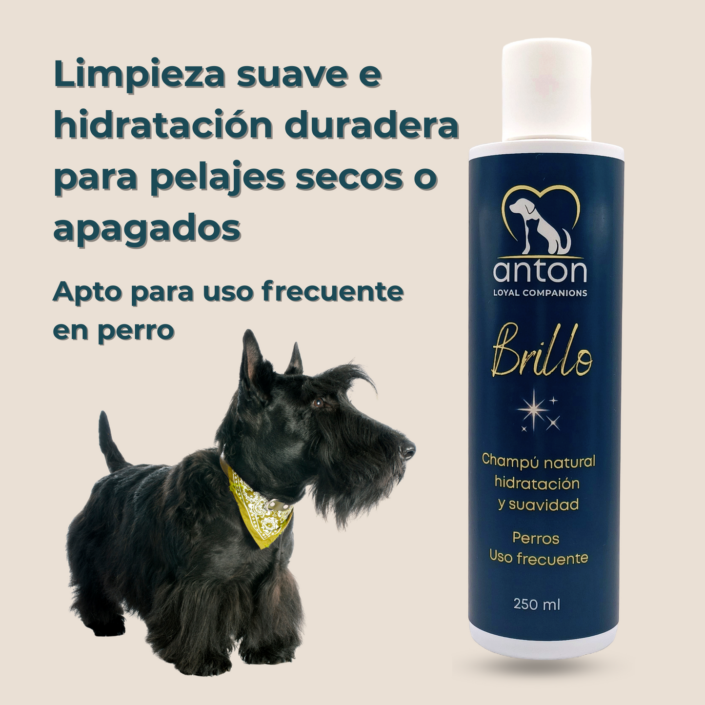 Champú Natural Para Perros “brillo” - Pack Ahorro - 3x250 Ml