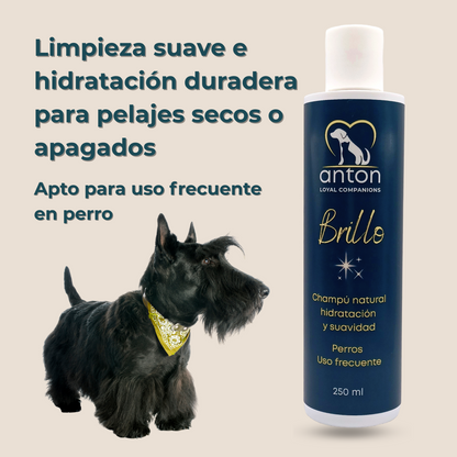 Champú natural para el cuidado del pelaje de perros – 250 ml_1