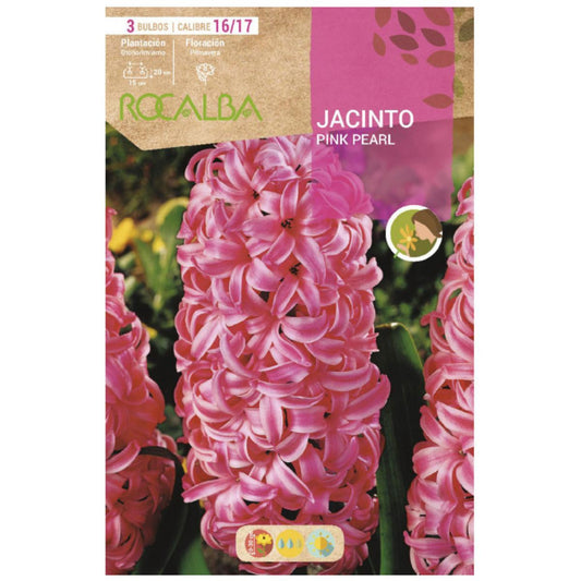 Bolbo de jacinto vermelho pérola rosa 3 peças Rocalba