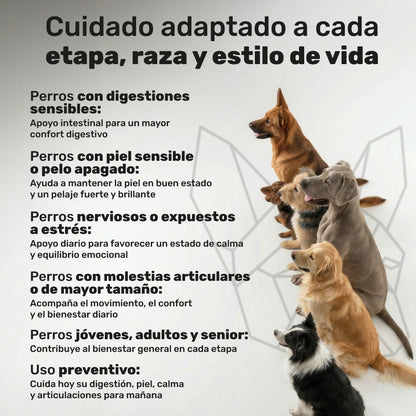 Pack Calma + Condro + Probiotico + Salmon Para Perros. Suplementos Mascotas. 480 Masticables. Natuva Pets_5