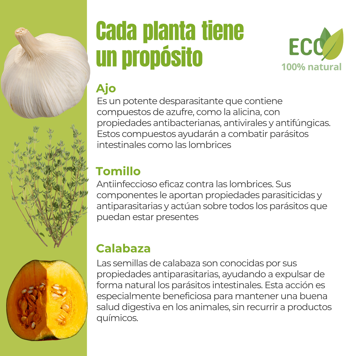 Suplemento natural para perros y gatos – Fórmula Protección Antiparasitaria ECO 100 g