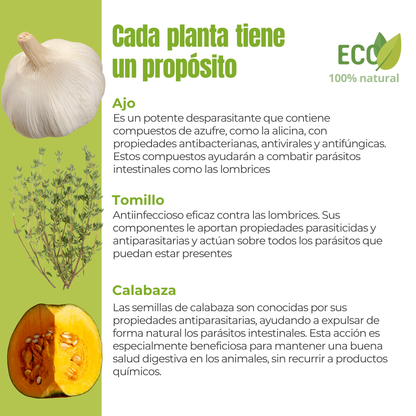 Protección interna ECO para perros y gatos – Parásitos intestinales – 100 g_2