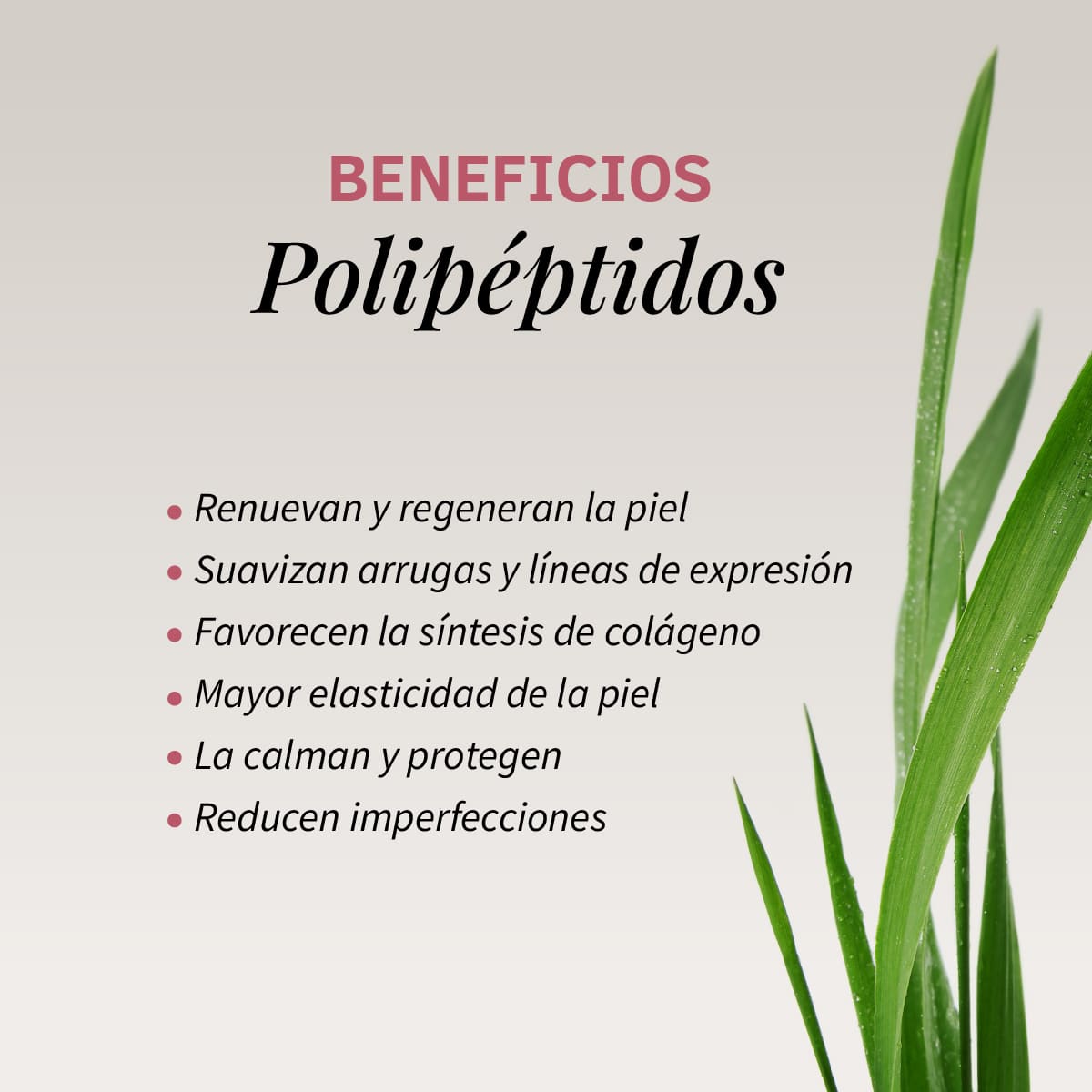 Sérum Facial Tensor Effect | Efecto Lifting Inmediato | Reafirmante Anti-aging | Hidratación y Elasticidad_2