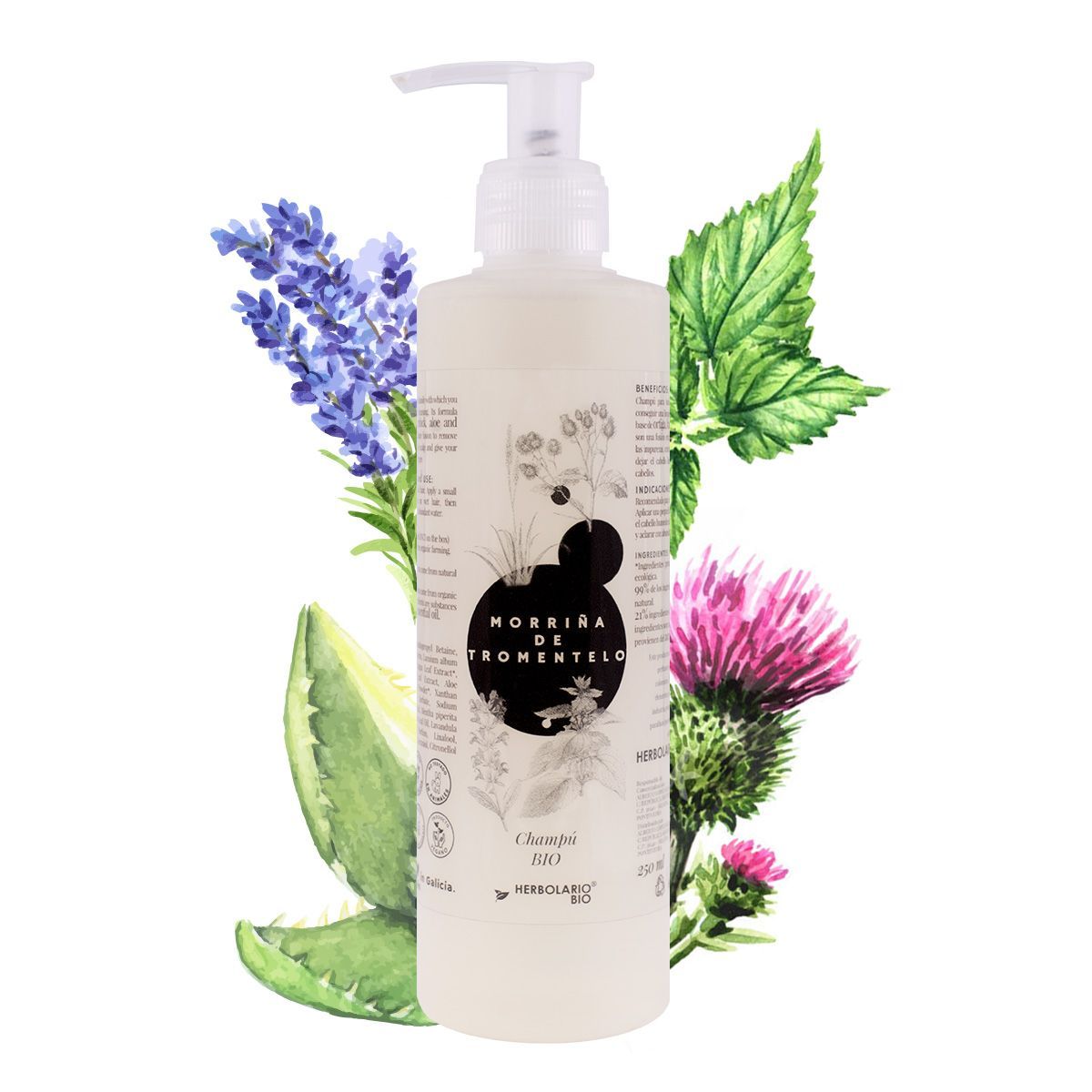 Champú Ecológico Y Vegano Morriña De Tromentelo - Herbolario Bio_0