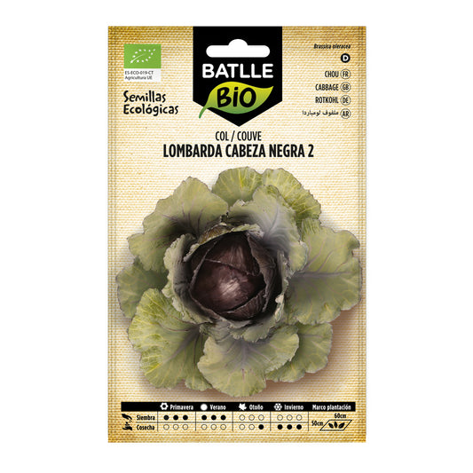 Sementes de couve roxa com cravo biológico Batlle 2