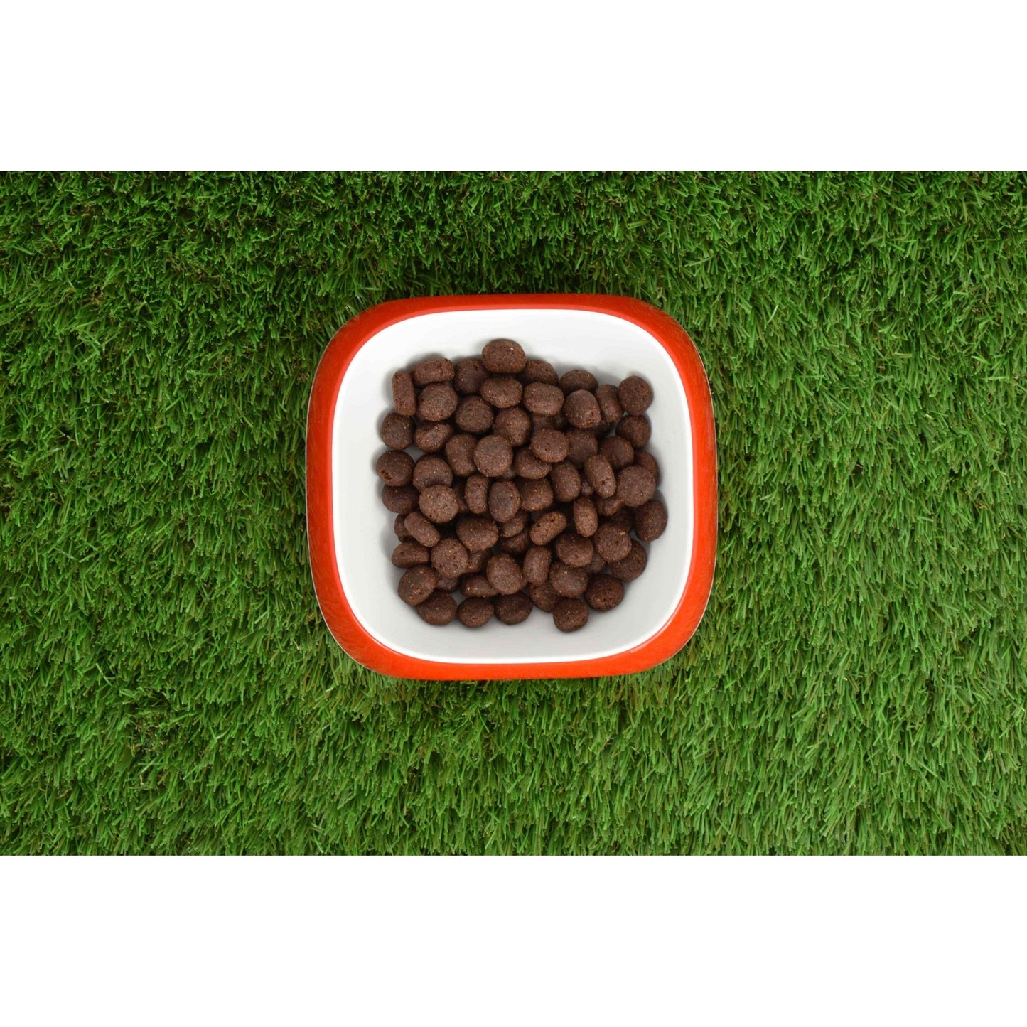 Ração Natural Superpremium para Salmão sem Grão 12 kg Planeta Huerto