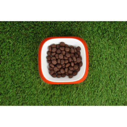 Ração Natural Superpremium para Salmão sem Grão 12 kg Planeta Huerto