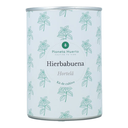 Kit de cultivo aromático de hortelã-pimenta Planeta Huerto