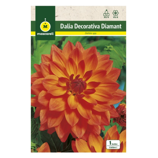 Bulbo Dalia Diamant Naranja_0