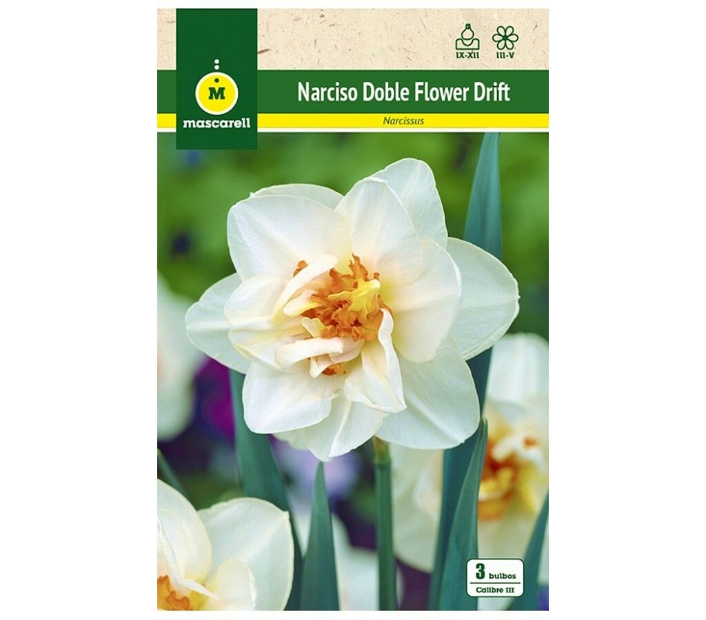 Bulbo Narciso Doble Flower Drift Blanca_0