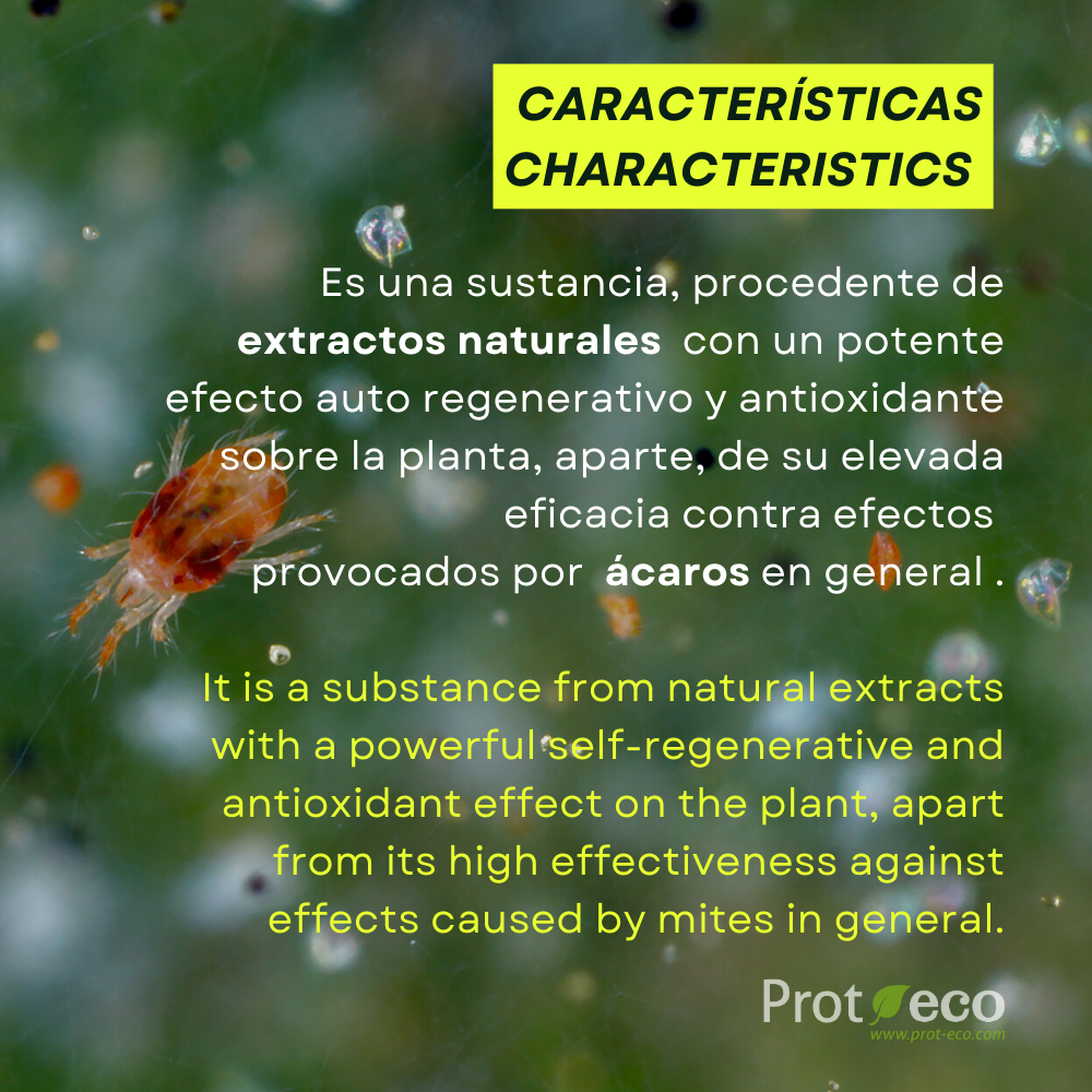 Tratamiento ecológico contra araña roja en plantas Cinnaprot Plus Prot-Eco (30 ml)+pipeta dosificadora 5 ml gratis_4