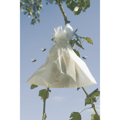 Capas protetoras Fruitsac Nortene para fruta, 50 unidades, 20 x 30 cm.