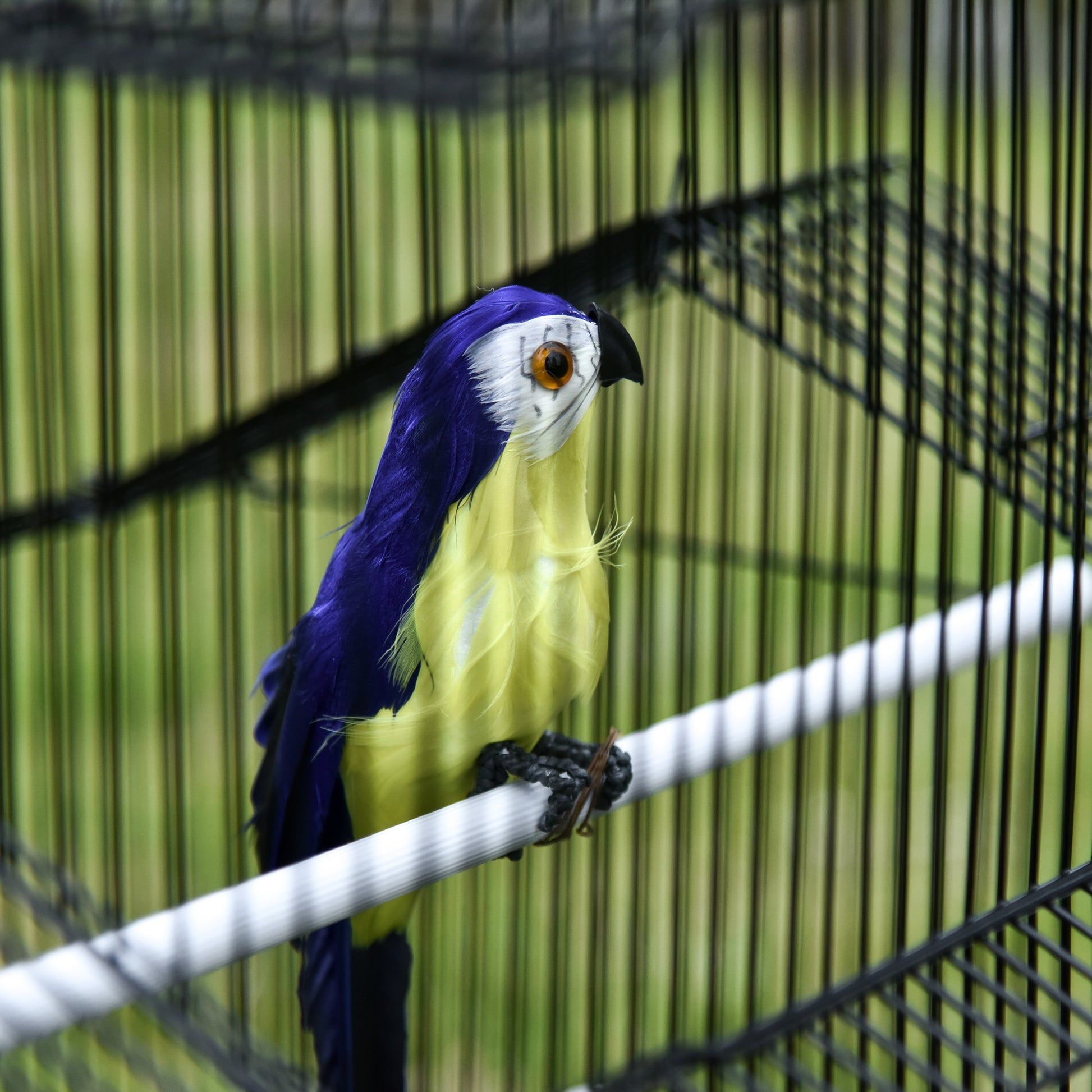 Pawhut Jaula Para Pájaros De Metal Con Bandeja Extraíble Comederos Y Perchas_4