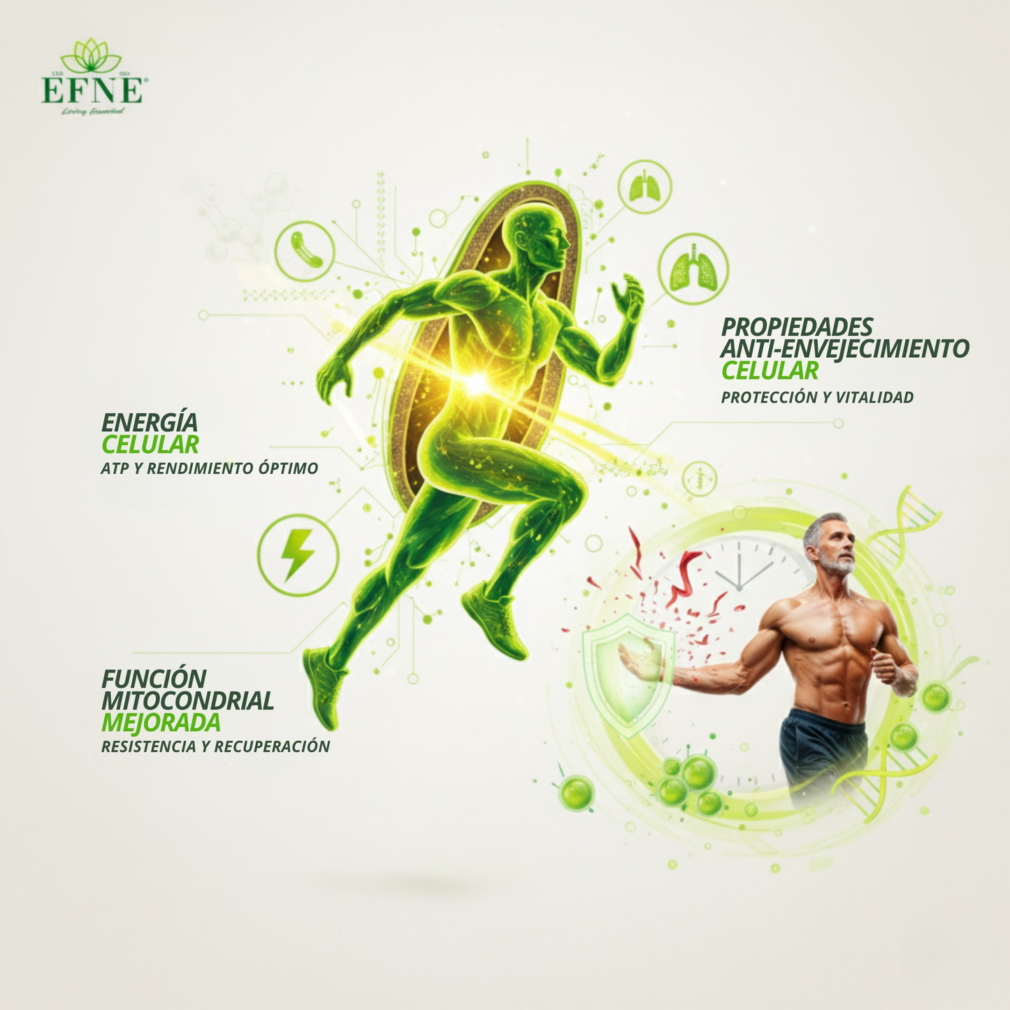 Efne Nad Con Trans-resveratrol: El Activador De Longevidad Para Quienes Viven Al Máximo Después De Los 40_4