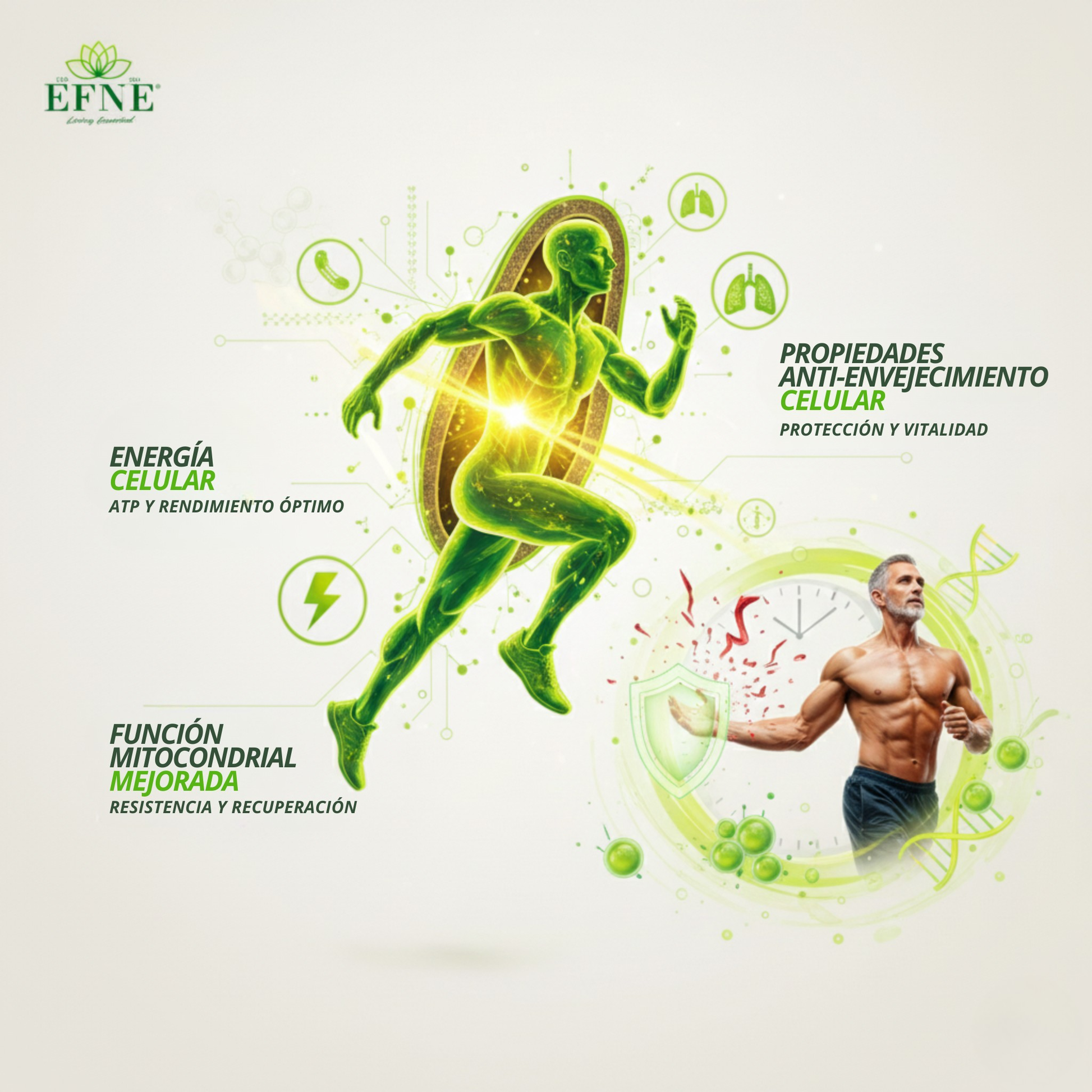 Efne Nad Con Trans-resveratrol: El Activador De Longevidad Para Quienes Viven Al Máximo Después De Los 40_4