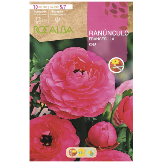 Bolbo Ranunculus Francesilla rosa 10 unidades Rocalba
